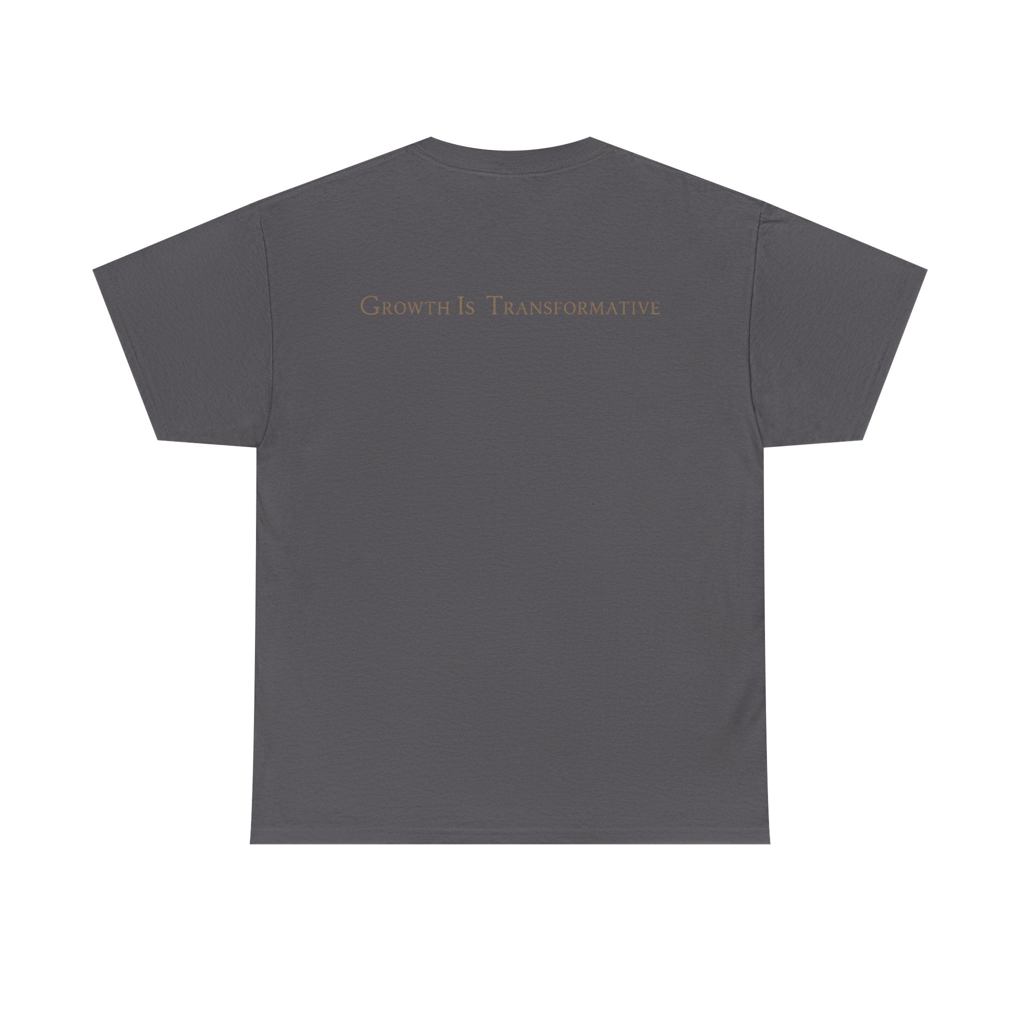 Golden Fairy T-Shirt — Glowing Butterfly Pixie Graphic Tee
