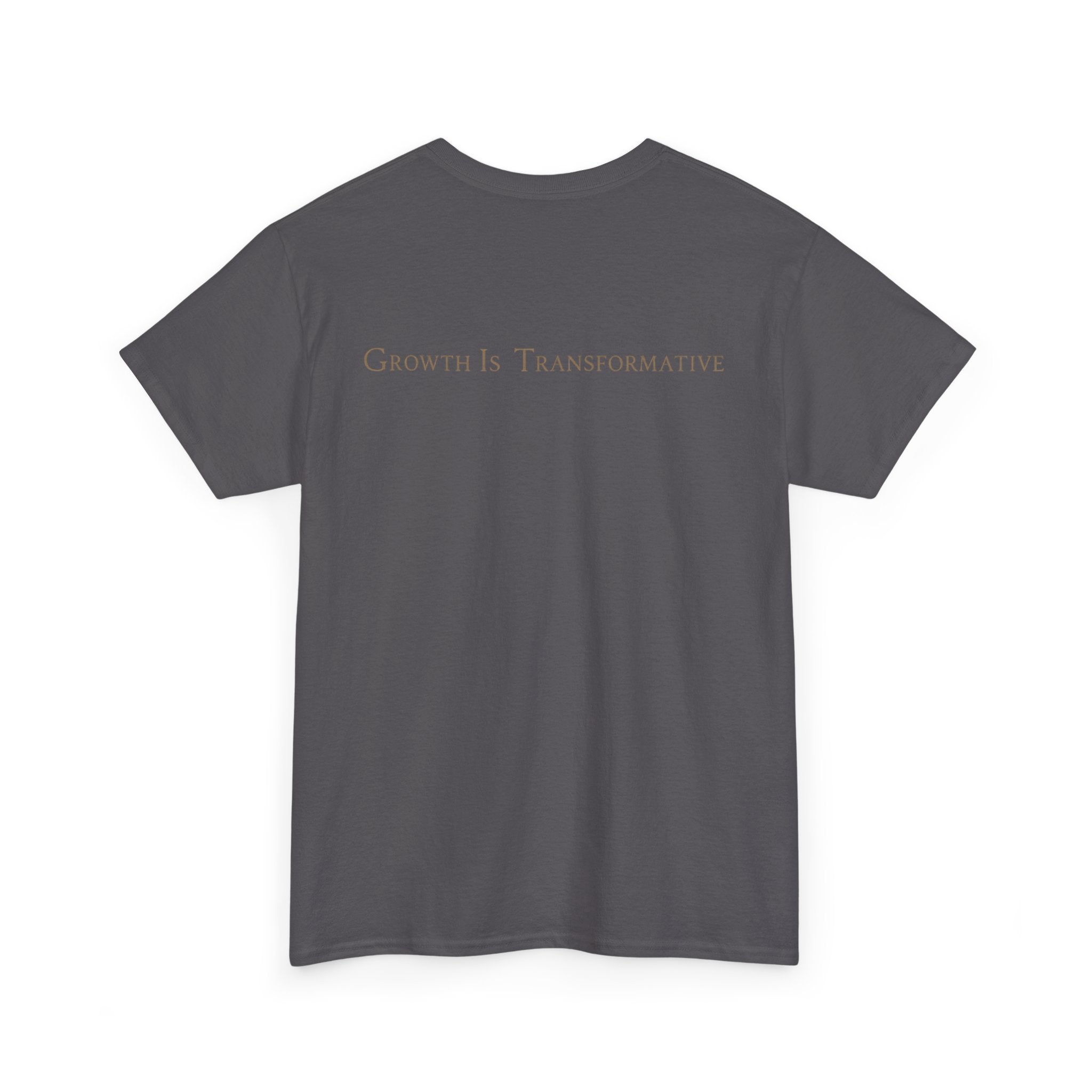 Golden Fairy T-Shirt — Glowing Butterfly Pixie Graphic Tee